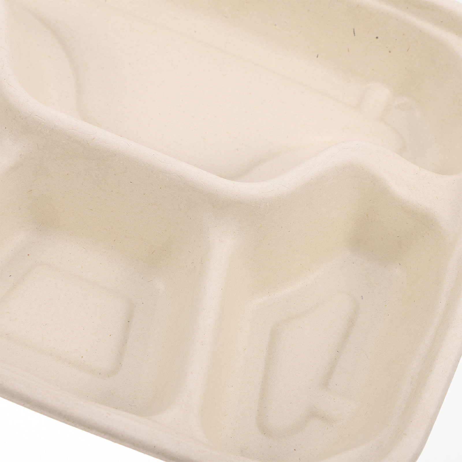 10Pcs Disposable Divided Food  - Meal Prep Restaurant 评论和价格