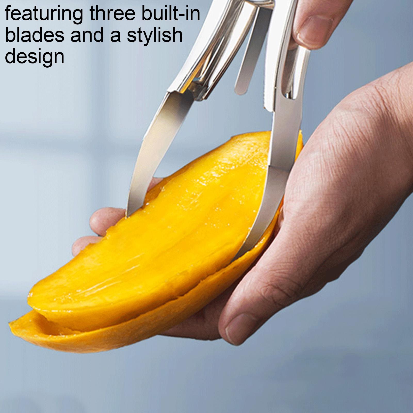 Mango Slicer DIY Ergonomic Rus - Mango Splitter Tool 评论和价格