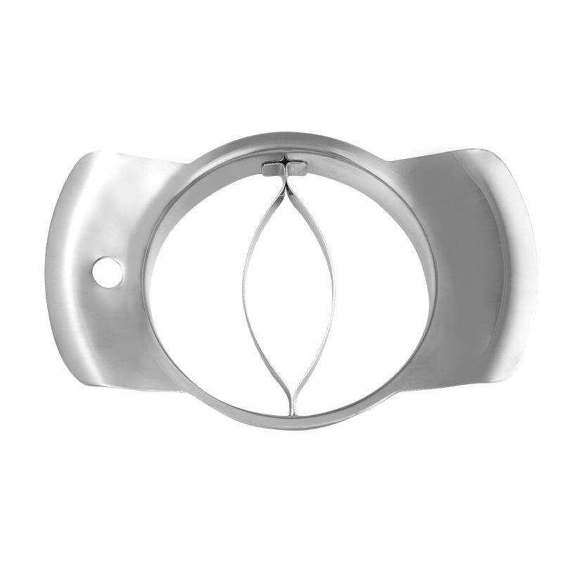 304 Stainless Steel Mango Core - Mango Splitter Tool 评论和价格